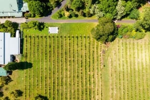 Brisbane: Visita a una bodega con catas y almuerzo de 2 platos