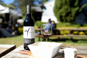 Brisbane: Winery Tour with Tastings and 2-Course Lunch
