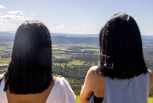 Brisbane: Vingårdstur med provsmakningar och 2-rätters lunch