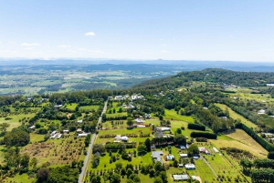 Brisbane: Weinkellertour mit Verkostungen und 2-Gänge-Mittagessen