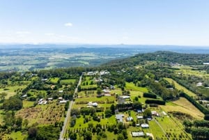 Brisbane: Wijnmakerij Tour met proeverijen en 2-gangen lunch