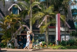 Brisbane: Wijnmakerij Tour met proeverijen en 2-gangen lunch