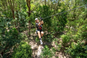 Currumbin: Treetop Challenge Adventure Park