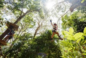 Currumbin: Treetop Challenge Adventure Park