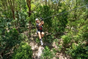 Куррумбин: Парк приключений Treetop Challenge
