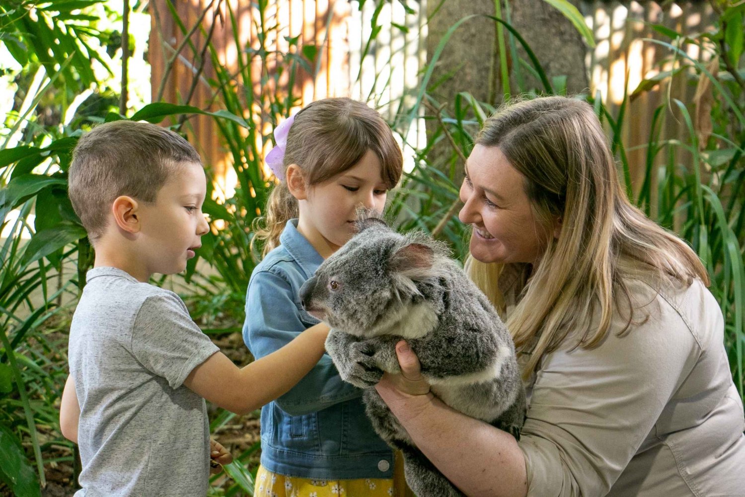 Currumbin Wildlife Sanctuary Ticket & Koala Photo
