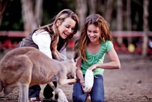 Currumbin Wildlife Sanctuary Ticket & Koala Photo