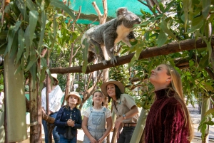 Currumbin Wildlife Sanctuary Ticket & Koala Photo