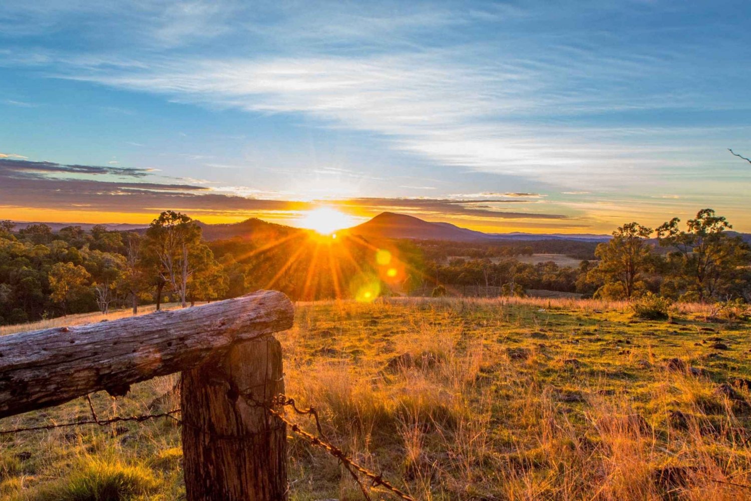 Gold Coast: Day Time Glow Worm Cave & Scenic Rim Luxury Tour