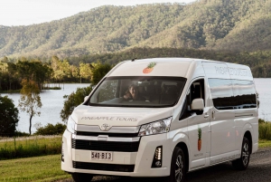 Gold Coast: Day Time Glow Worm Cave & Scenic Rim Luxury Tour