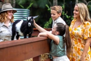 Комбинированный билет в заповедник дикой природы Куррамбин и TreeTop Challenge