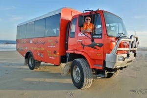 Explore Fraser Island: 2-Day Grand 4WD Tour
