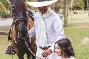 Familiehygge med peruvianske paso-heste: Rid, fodr og knyt bånd