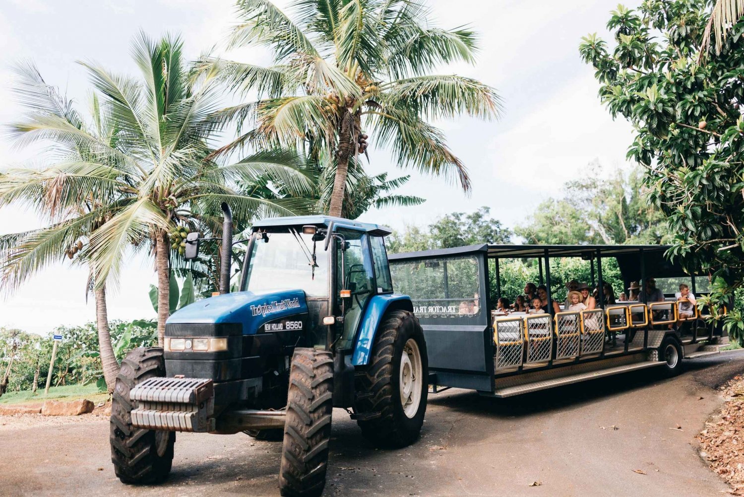 Guldkusten: Rundtur med traktortåg i tropiska frukters värld