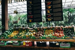 Costa de Oro: Excursión en tren tractor por el Mundo de las Frutas Tropicales
