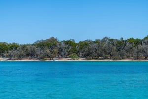 Брисбен: парусный тур по заливу Мортон на полдня с антипасто