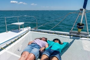 Brisbane: Excursão de meio dia à vela em Moreton Bay com Antipasto