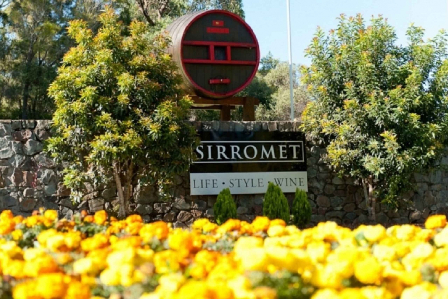 From Brisbane or Gold Coast: Sirromet Winery Half-Day Out