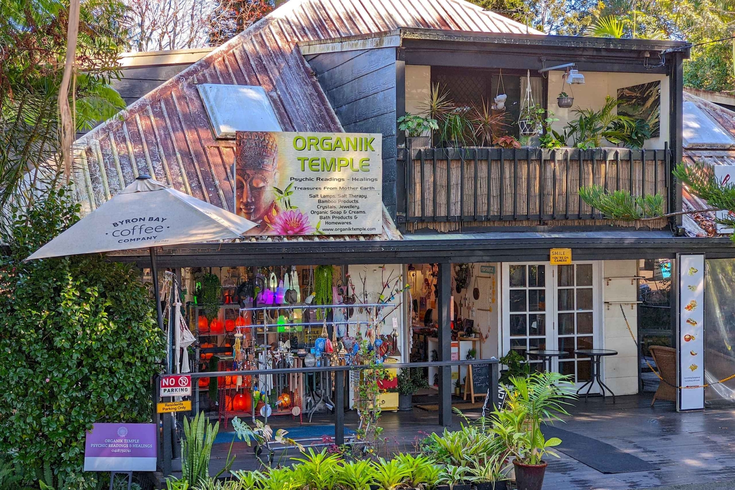 Fra Brisbane: Tamborine Mountain og Paradise Point-tur