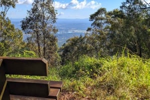 Z Brisbane: Wycieczka na górę Tamborine i do Paradise Point
