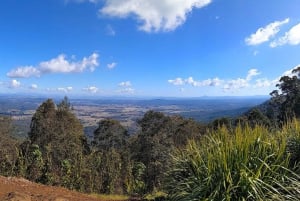 Brisbanesta: Tamborine-vuori ja Paradise Point -kierros