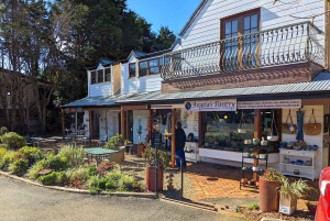 Fra Brisbane: Tamborine Mountain og Paradise Point-tur