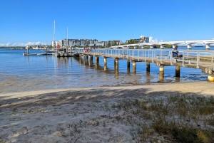 Fra Brisbane: Tamborine Mountain og Paradise Point-tur