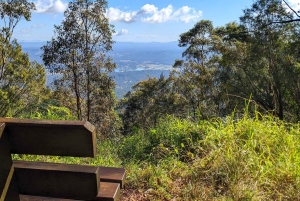 Fra Brisbane: Tamborine Mountain og Paradise Point-tur