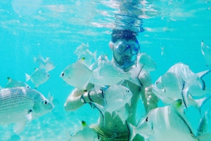 Gold Coast: Kayaking and Snorkeling Guided Tour