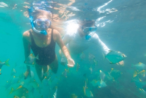 Gold Coast: Kayaking and Snorkeling Guided Tour