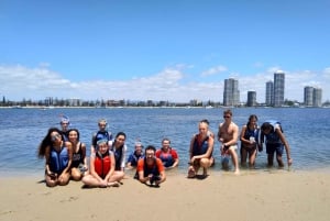 Gold Coast: Kajakki- ja snorkkeliretki kalojen ruokkimisella