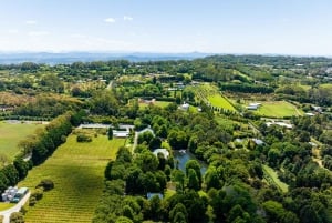 Vom Gold Coast Hop-On/Hop-Off-Bus zum Tamborine Mountain