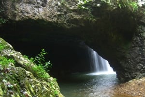 Glow Worm Cave Night Tour of Springbrook from Gold Coast