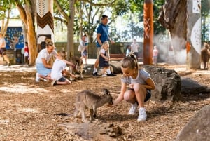 Gold Coast: 2-dages billet: Dreamworld med WhiteWater World