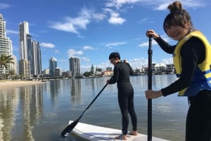 Gold Coast: 2-Hour Standup Paddleboarding Tour & Marine Life