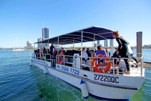 Gold Coast: 3-daagse PADI Open Water Cursus