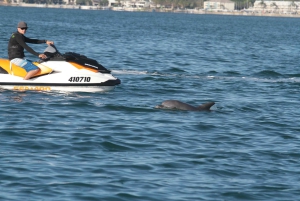 Gold Coast: 30 min Jet Ski Hire - No Slow Zones