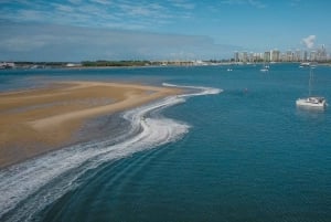 Gold Coast: Safari en moto acuática a toda velocidad de 30 minutos, sin zonas de velocidad reducida.