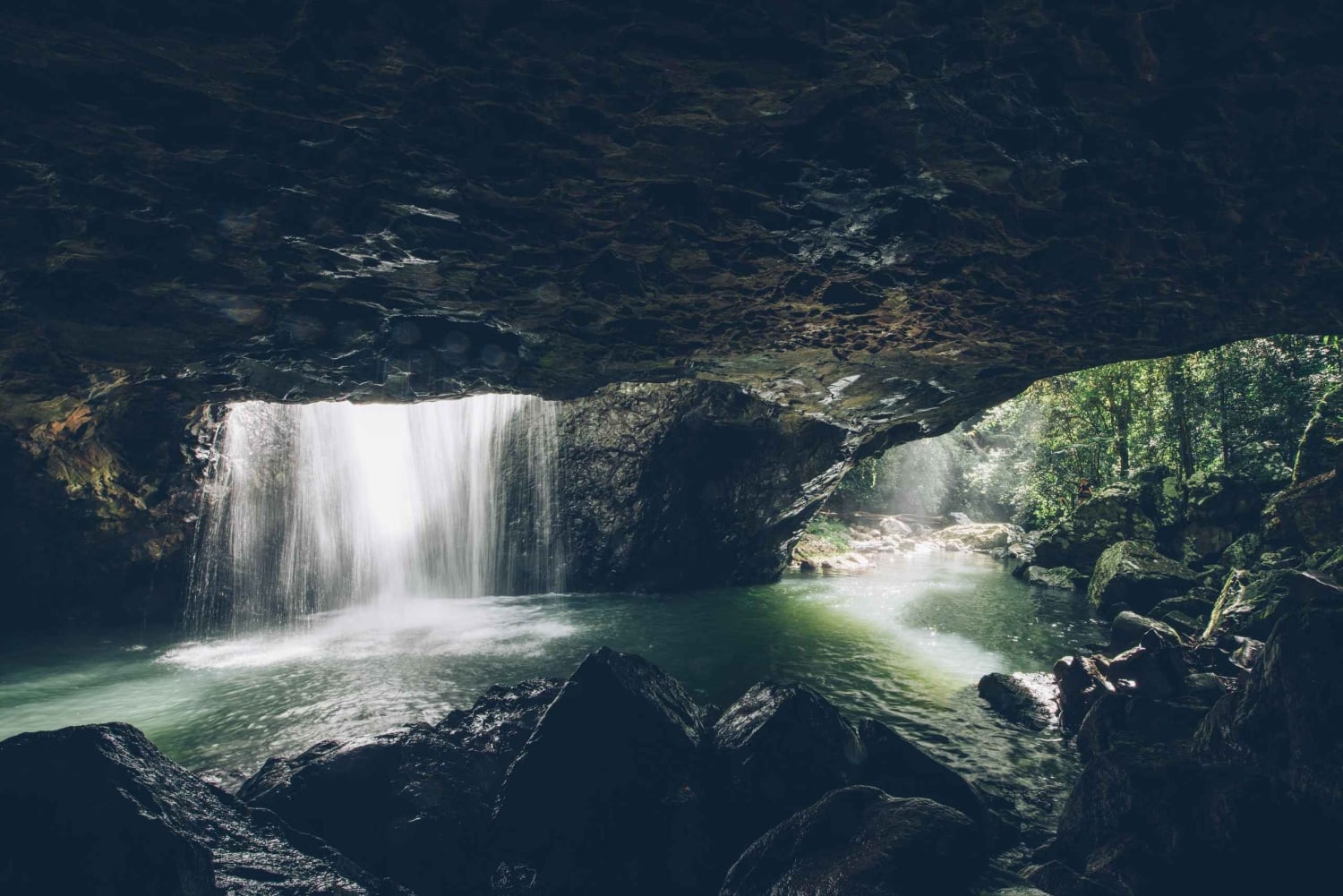 ゴールドコースト：6つの滝、コアラ、ナチュラルブリッジを巡る日帰りツアー
