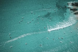 Gold Coast: groepssurfles voor volwassenen (16+)