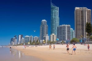 Excursão VIP à Costa de Ouro e às cervejarias artesanais a partir de Brisbane