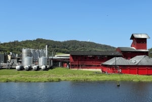 Excursão VIP à Costa de Ouro e às cervejarias artesanais a partir de Brisbane