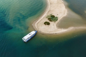 Gold Coast and Wavebreak Island Cultural Small Group Cruise