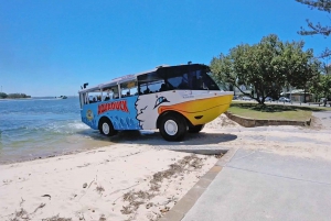 Gold Coast: Aquaduck City Tour and River Cruise