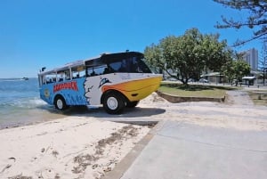 Gold Coast: Aquaduck City Tour and River Cruise