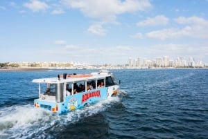Gold Coast: Aquaduck Tour and Infinity Attraction Ticket