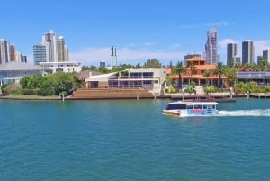 Gold Coast: Aquaduck Tour and Infinity Attraction Ticket