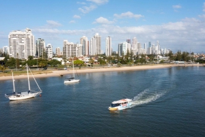 Gold Coast: Aquaduck Tour and Skypoint Deck and Dine Tickets
