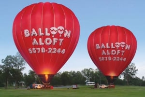 Gold Coast: Australian Sunrise 1-Hour Hot Air Balloon Flight