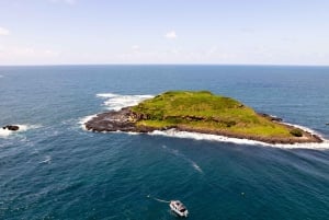 Gold Coast: Nurkowanie w Rezerwacie Morskim Wyspy Cooka